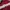 Ellesse Vintage Bomber Jacket Pria Red