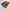 Set 2 Buku Manga Detective Conan Movie 11 Full Color photo 3