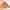 Mango Cottagecore Indie Crop Top Wanita Multicolor