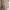 mini dress + FREE photo 7