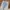 LEVIS 508 LIGHT BLUE 🇯🇵 JEANS photo 2