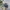 Polo Ralph Lauren Sportswear Casual Hat Pria blue photo 4
