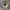 Converse 70s Hi Field Surplus Original Guaranted 100% photo 2