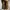 Timberland Boots Leather Brown Icon Original Guaranted 100% photo 5