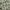Santastic Duck Hunter Camo Multipocket Jacket Original