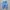 Longline Jorts Streetwear 