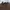 PPFM Dark Brown Puffer Style Down Jacket Original  photo 2