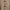 Shaggy Peanut Brown Suede Duffle Coat Original  photo 2