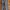 Forex Jeans photo 5