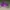 Sportswear Pria purple photo 1