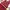 Casual Casual dress Wanita burgundy black photo 3