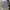 Long Work Bottom Shirt Polo By Ralph Lauren photo 6
