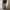 Levi's Streetwear Jeans Pria multicolor photo 7