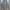 Levi's Streetwear Jeans Pria multicolor photo 3