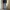 Levi's Streetwear Jeans Pria multicolor photo 8