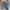 Levi's Streetwear Jeans Pria multicolor photo 2