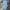 American Eagle Y2K Sportswear Sweatpants & Joggers Wanita blue photo 1
