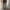 Streetwear Jeans Pria multicolor photo 8