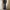 Streetwear Jeans Pria multicolor photo 7