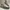 Sepatu Sport Italia photo 2