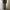 Nylaus Streetwear Jeans Pria gray photo 7