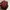 Nike Streetwear Sportswear Bag Pria red black photo 5