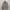 Bogner Windbreaker Parka Jacket