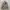 Bogner Windbreaker Parka Jacket photo 2