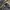 Wrangler Streetwear Jeans Pria multicolor photo 4