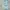 Tommy Hilfiger Casual Casual Shirt Pria Green Blue