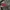 EDWIN Streetwear Jeans Pria multicolor photo 4