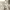 Axes femme embroidery lace & polkadot tulle ruffles blouse photo 10