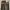 EDWIN Streetwear Jeans Pria multicolor photo 5