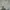 Vintage Fur coat Wanita cream photo 1