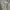 Vintage Fur coat Wanita cream photo 2
