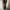 EDWIN Streetwear Jeans Pria multicolor photo 7