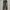EDWIN Streetwear Jeans Pria Multicolor