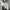 crop white long sleeve  photo 2