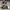 Rick Owens DRKSHDW Hexagram Hi Sneaker Black photo 4