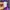 Sucure Pomme Future Primitive Purple Leopard Print Zip Up photo 9