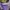 Sucure Pomme Future Primitive Purple Leopard Print Zip Up photo 5