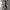Minimalist Casual Maxi dress Wanita green photo 6