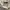 Executive Sportswear Casual Sweatshirt Wanita cream photo 3