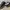 Nike Dunk Low Airbrush Woosh Brand New photo 2
