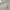GAP Casual Sweater Pria gray photo 1