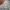 VANS Streetwear Skater Sneakers Pria white photo 6