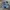 Vintage Y2K Short Wanita blue photo 3