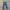DIESEL LONG PANTS DENIM SLIM FIT photo 2