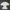 Vintage Minimalist Shirt Wanita white photo 2