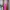 09WOMEN Minimalist Casual Wanita pink photo 2